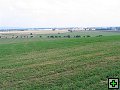 thn_Troubelice 2006 069.jpg